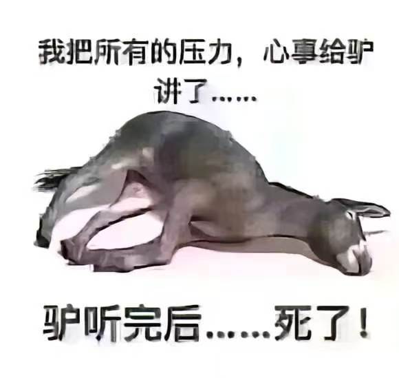 驴兄